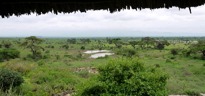 amboseli-safari-lodge