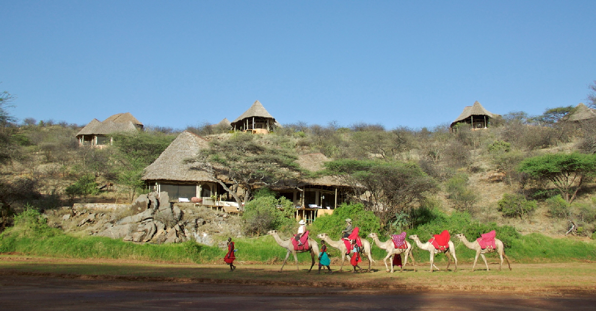 Kamelsafari