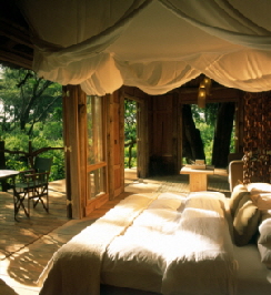 Lake Manyara Tree Lodge