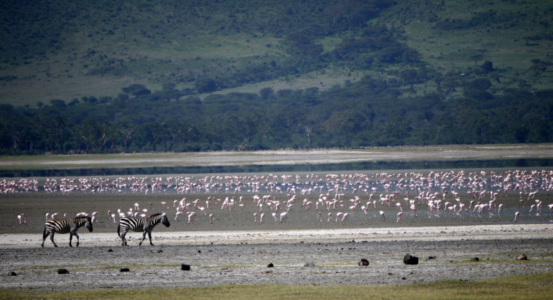 Ngorongoro Krater Tansania