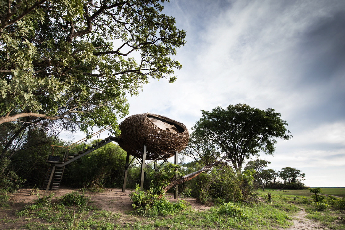 Chisa Busanga Kafue Sambia