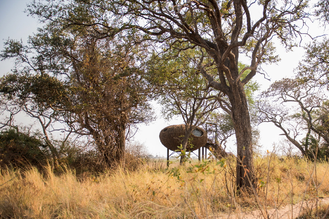 Chisa Busanga Kafue Sambia