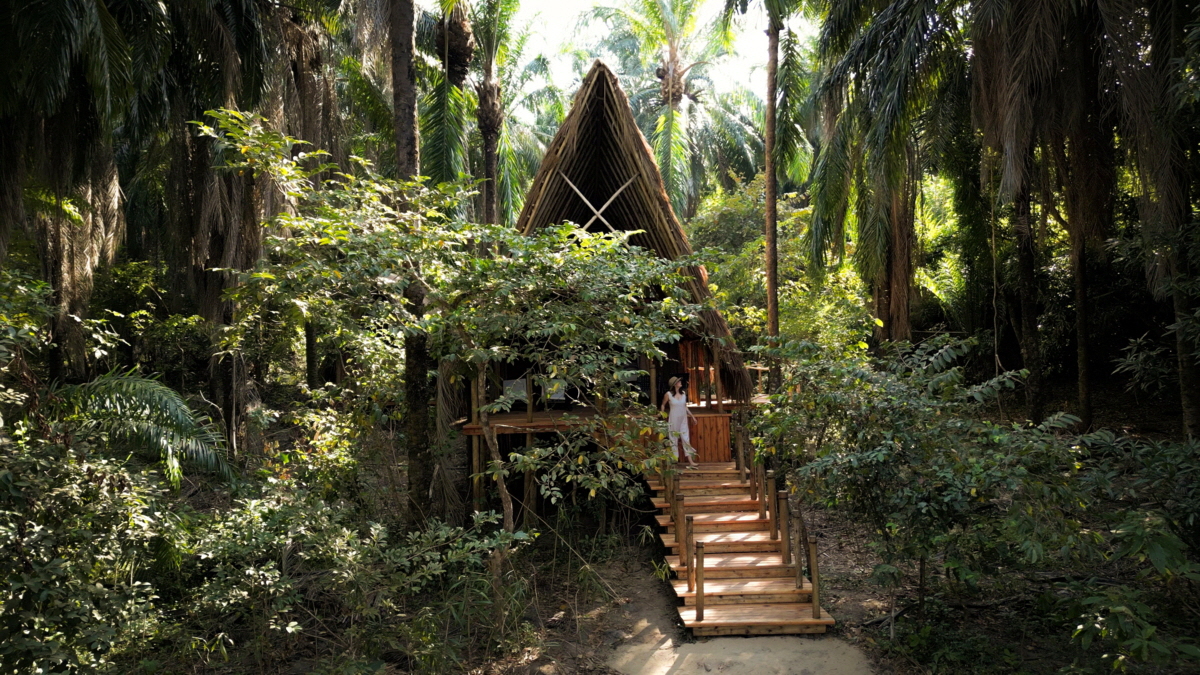 Schimpansen Safari Mahale 