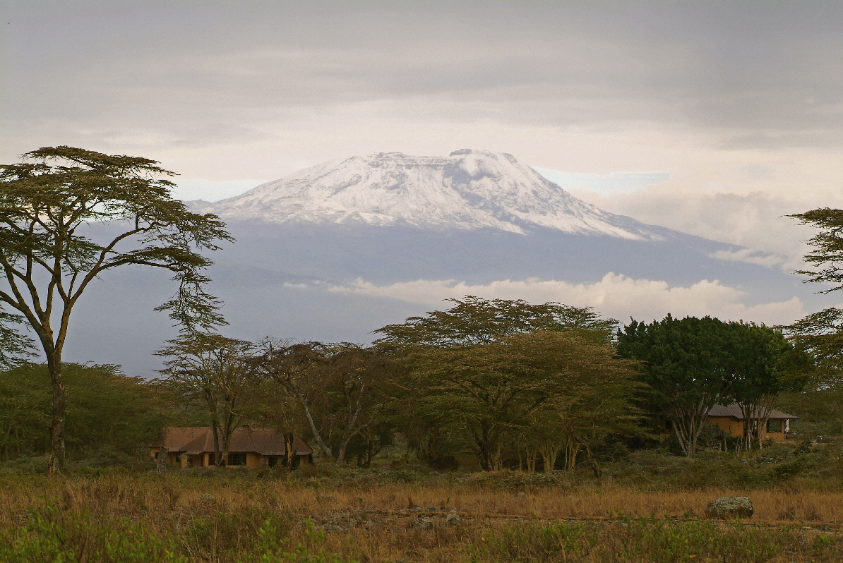 Hatari mit Kilimanscharo