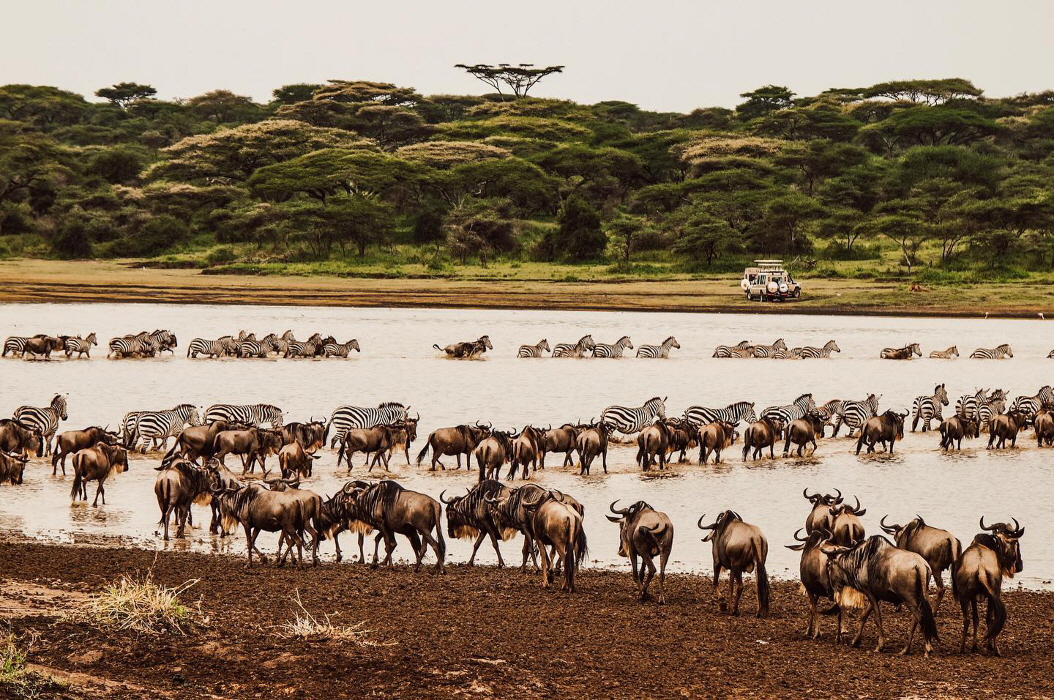 Ndutu Lodge Tansania