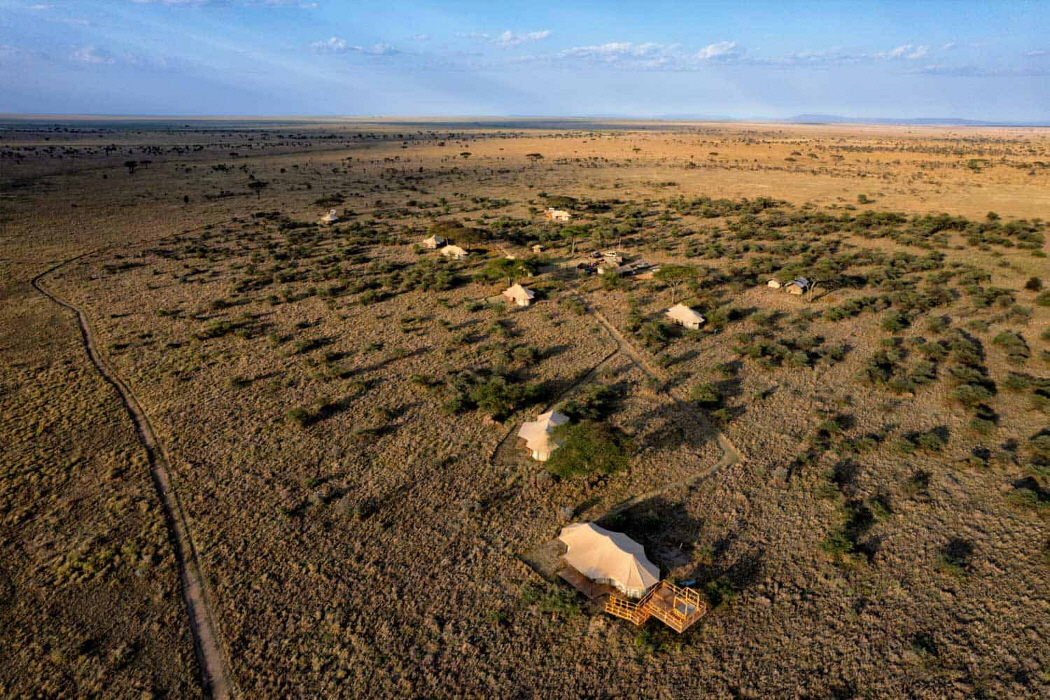 Ol Mara Camp Serengeti 