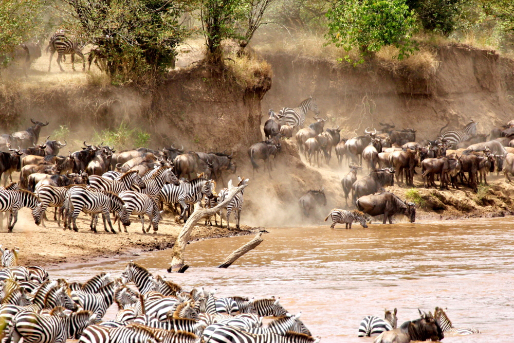 Sand River Camp Masai Mara 