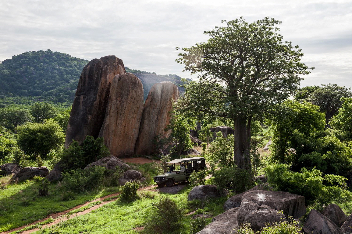 Nyerere Nationalpark  Jabali Ridge Safaricamp