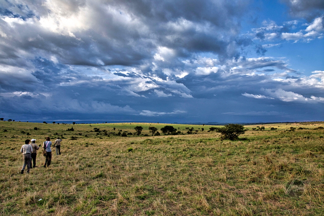 Safari zu Fuss in Lamai 