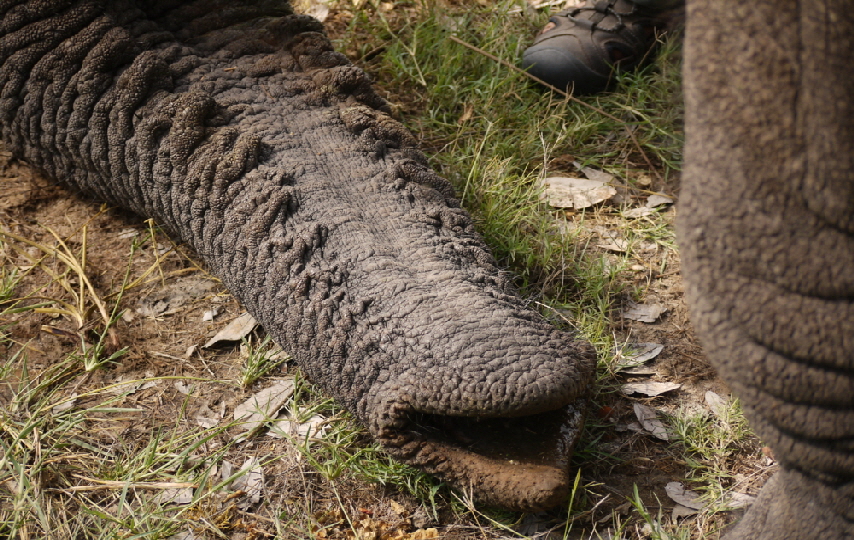 Exkursion Studenten Biologie Kenia