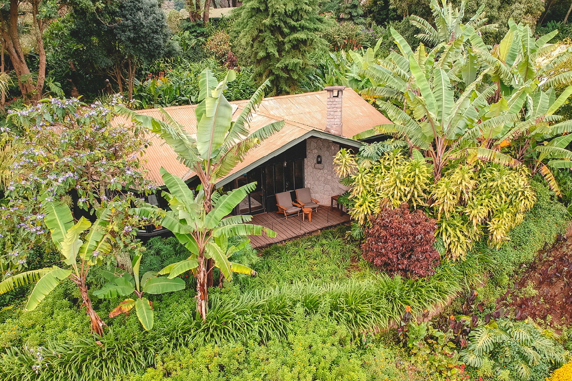 Gibbs Farm Ngorongoro