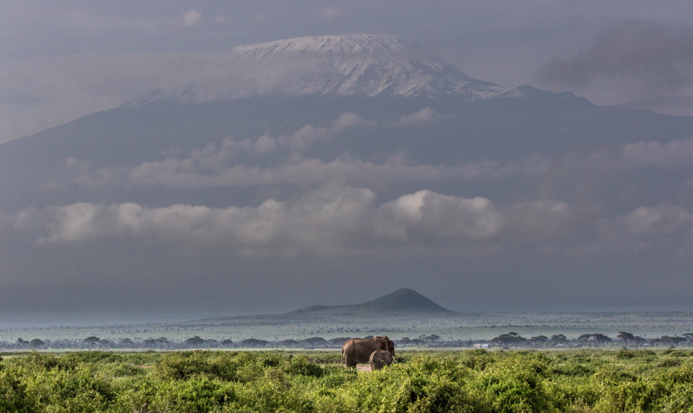 Kilimanscharo im März 2018 