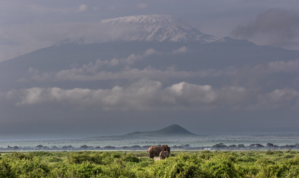 Amboseli Safari Kenia