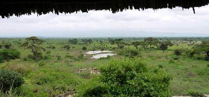 amboseli_0002