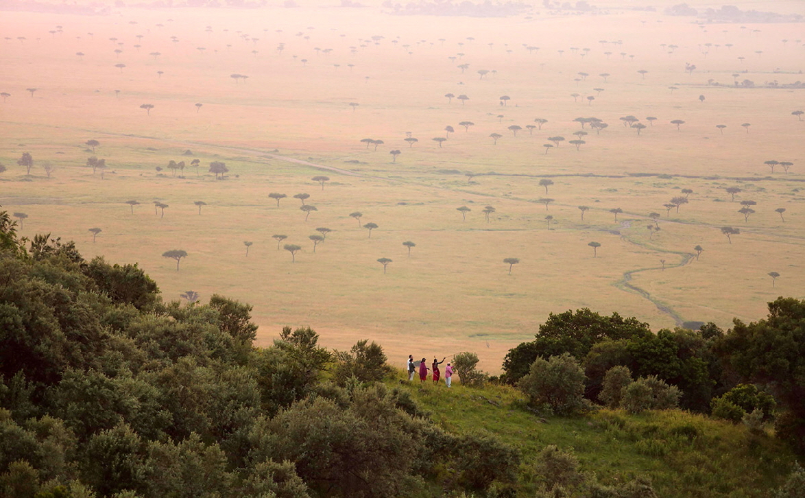 Angama Mara -Masai Mara