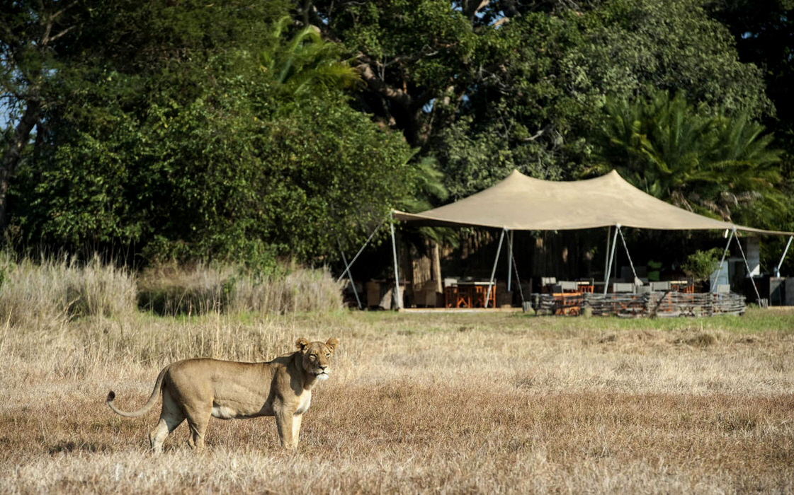 Busanga Wilderness