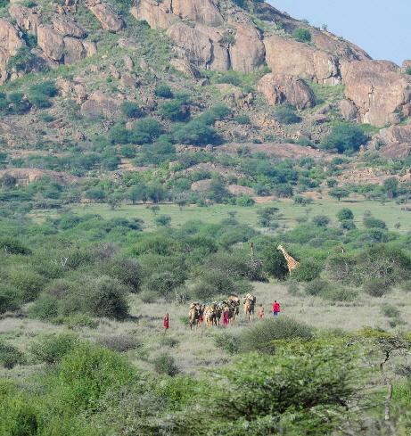 cameltrainkarisia-tumaren