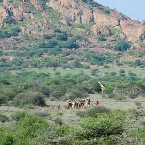 cameltrainkarisia-tumaren