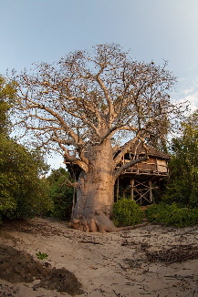 chole-mjini-Insel mafia Tansania