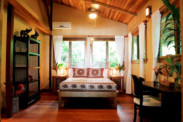 Osa Halbinsel  Copa de Arbol