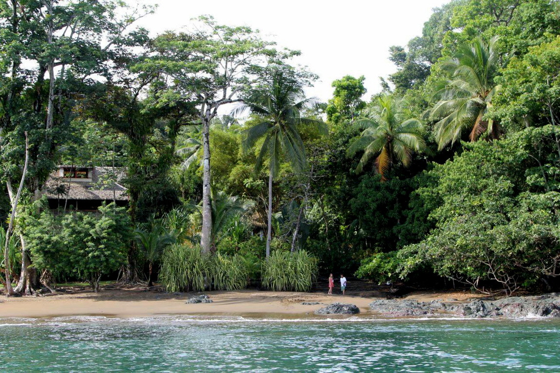 Copa de Arbol  Halbinsel Osa Corcovado Park