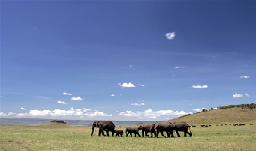 Serian Masai Mara Kenia