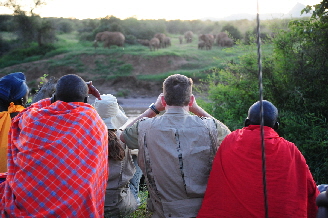 elephantswatchingwalkingsafari-tumaren