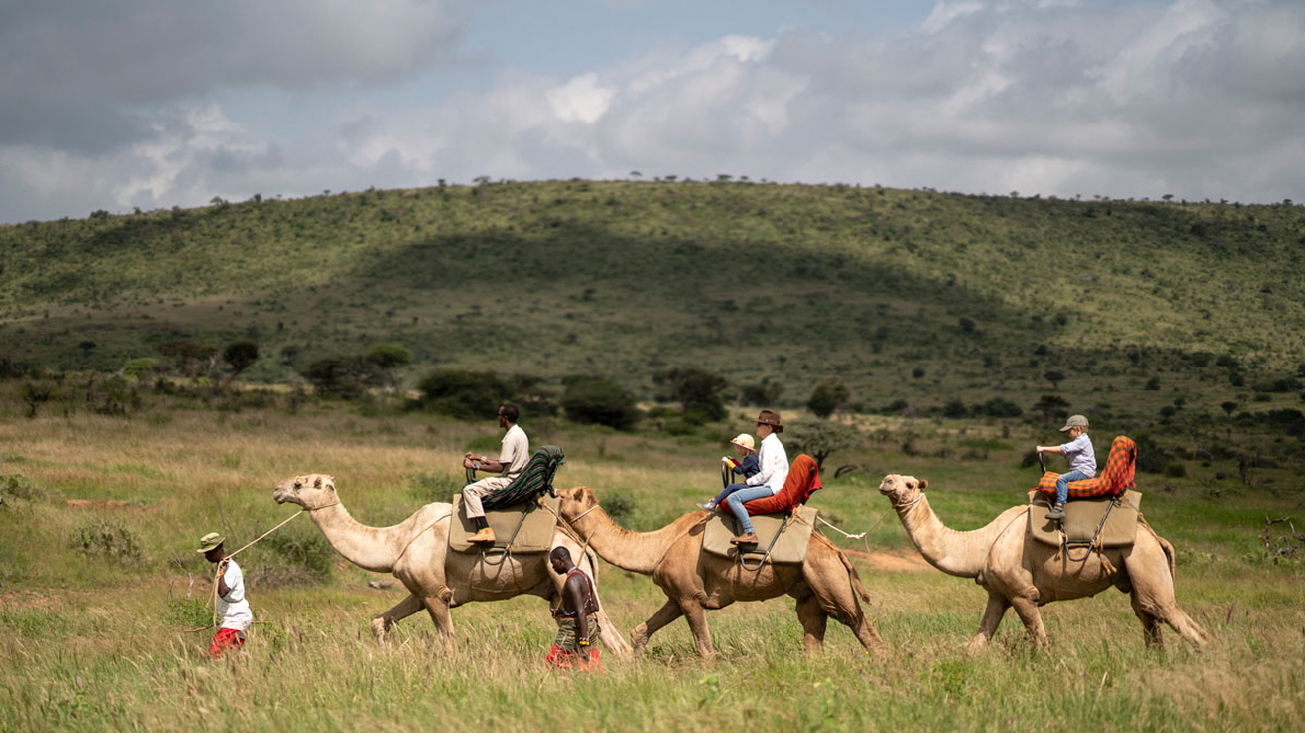 Kamelsafari