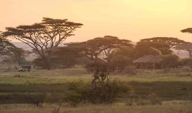 Eencounter-mara camp Masai Mara Kenia