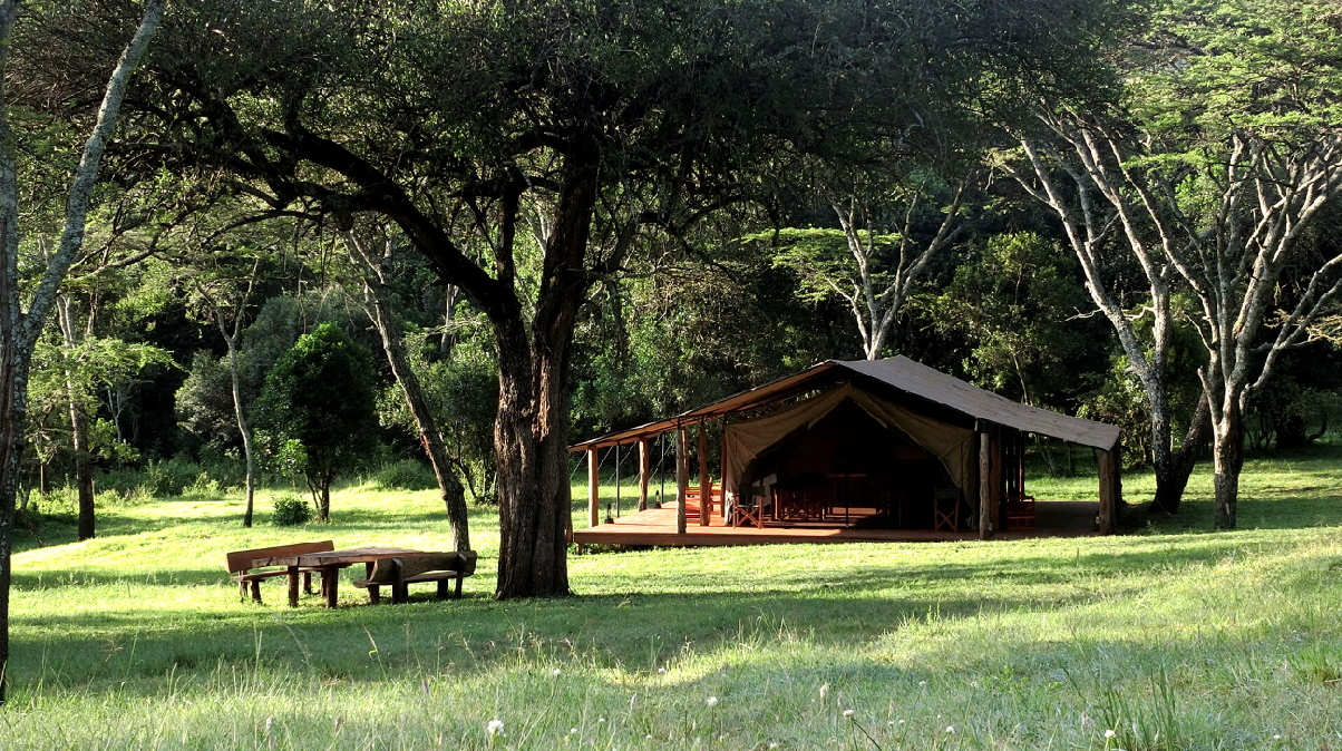 Enkopiro Camp Masai Mara 