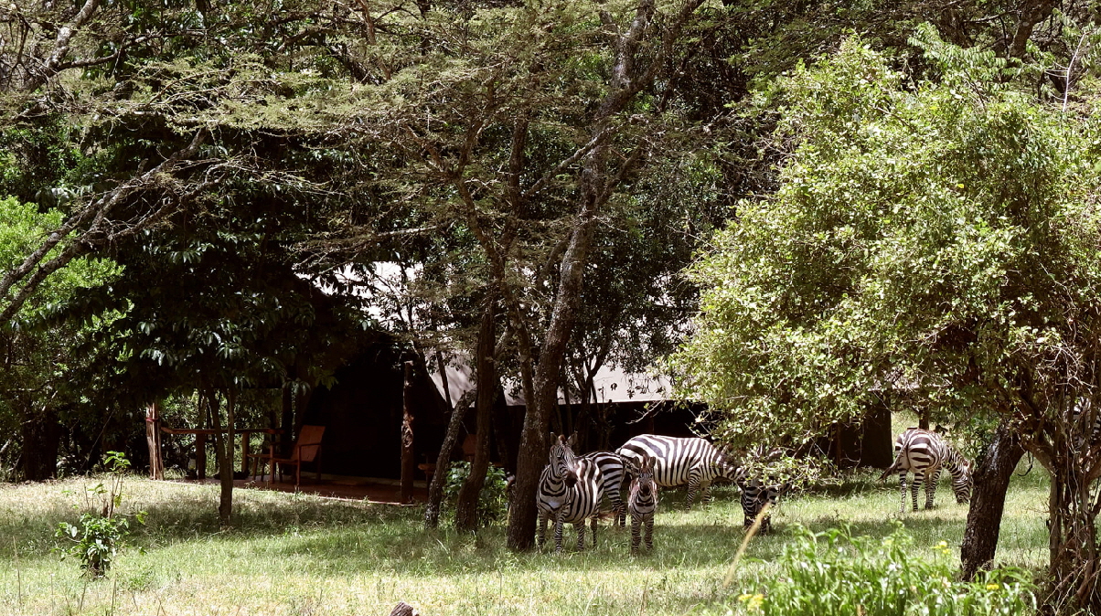 Enkopiro Camp Masai Mara 