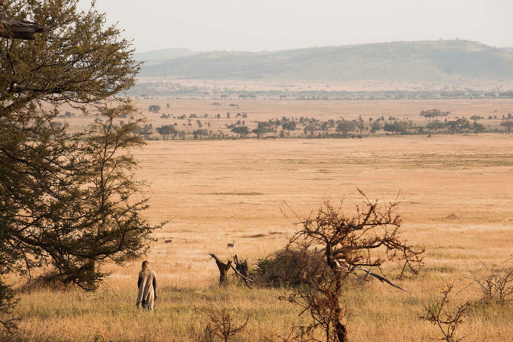 Ngorongoro Krater Entamanu Camp