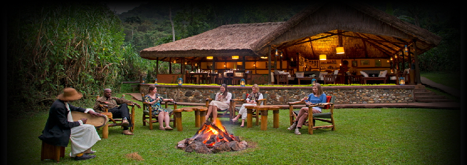 gorilla forest camp in Bwindi