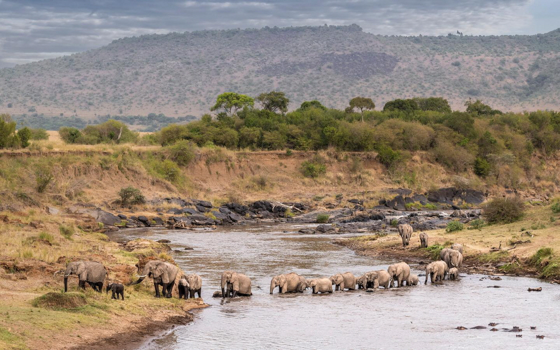 Little Governors Masai Mara