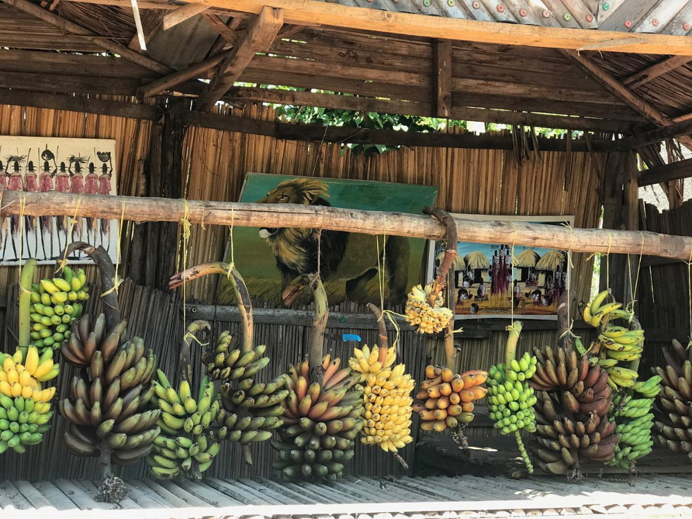 Hatari Lodge
