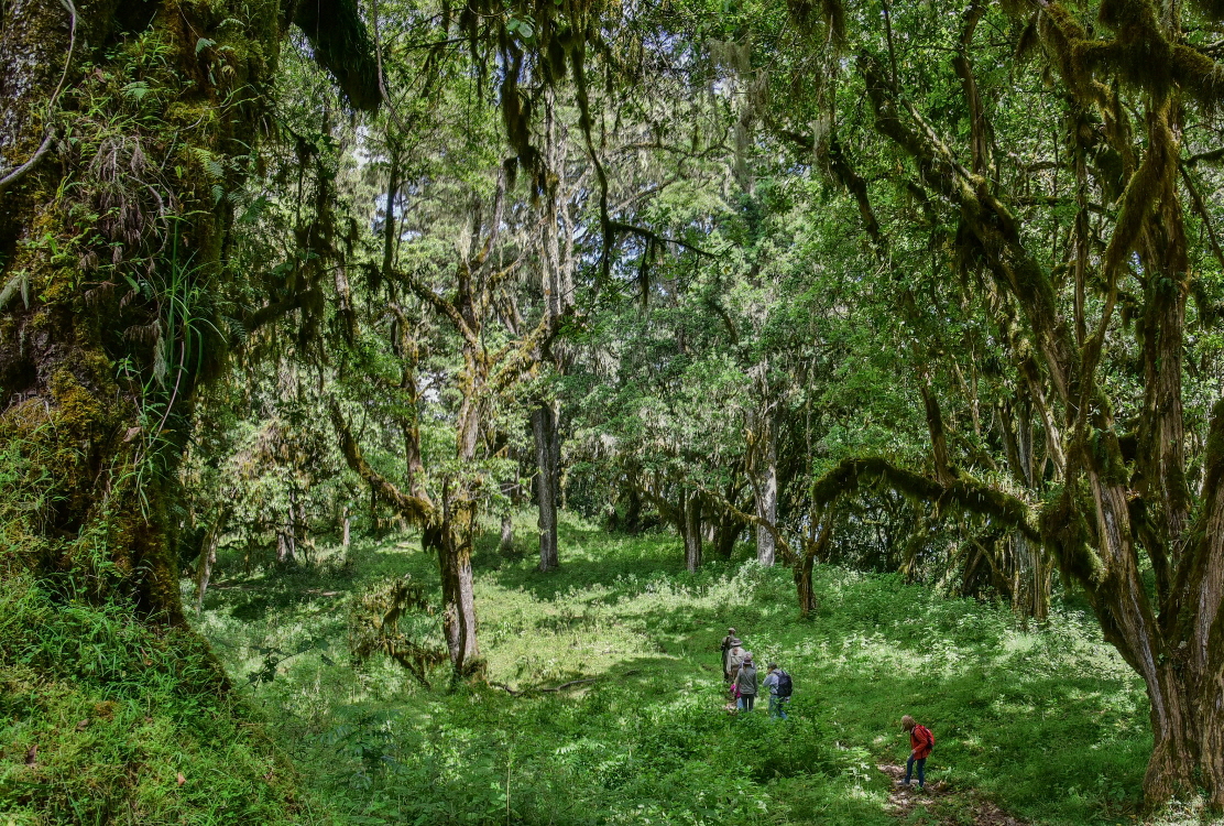 Mt Meru wanderung 