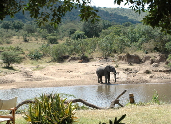 karenblixen09_0088