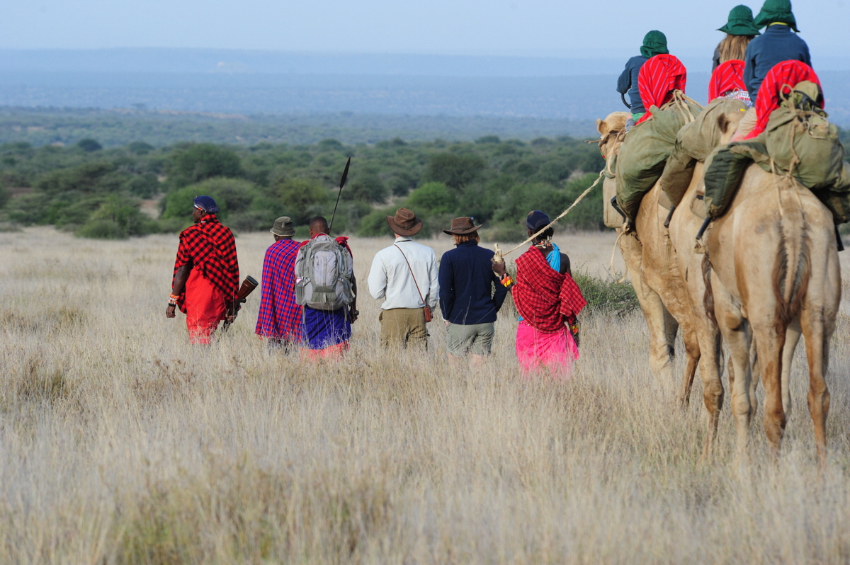 Wandersafari  mit Kamelen