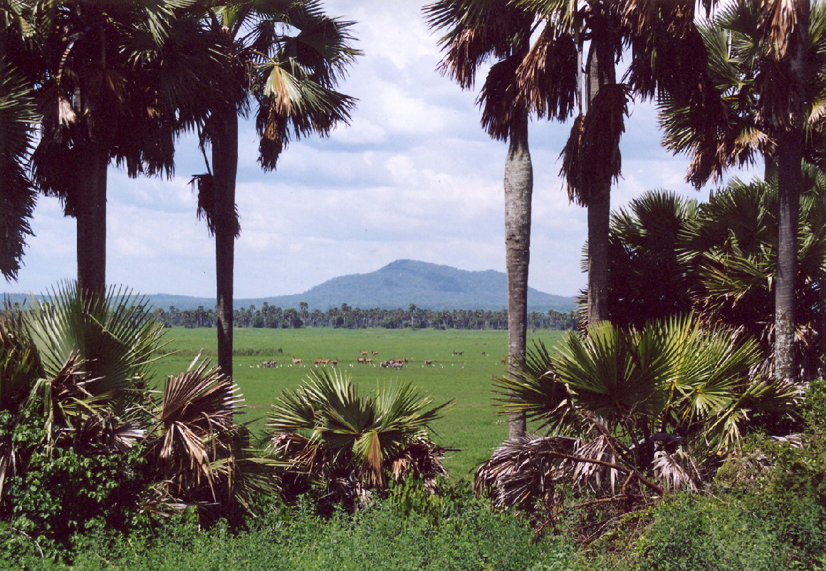 Chada Katavi 