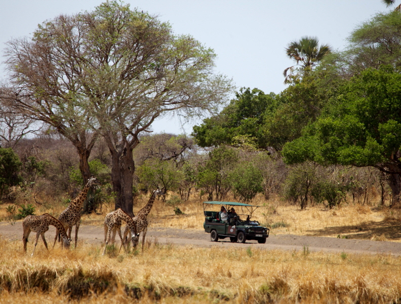 Katavi Safari 