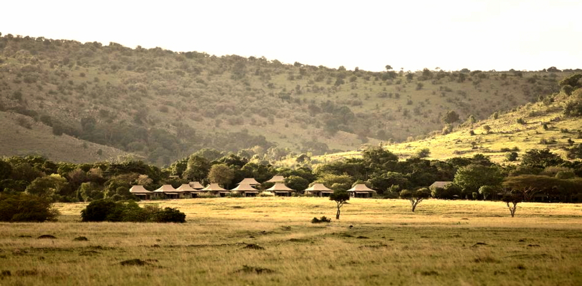 Kichwa Tembo  Masai Mara 