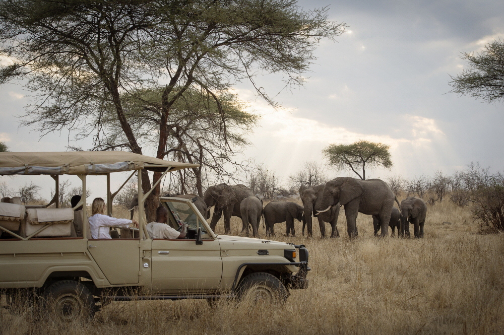 Ruaha Safarifahrzeug