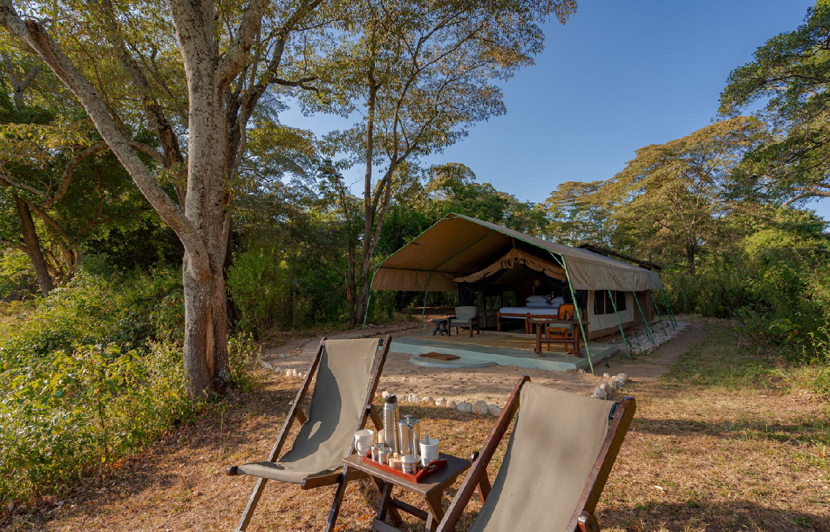 Kitich Camp Regenwald Kenia