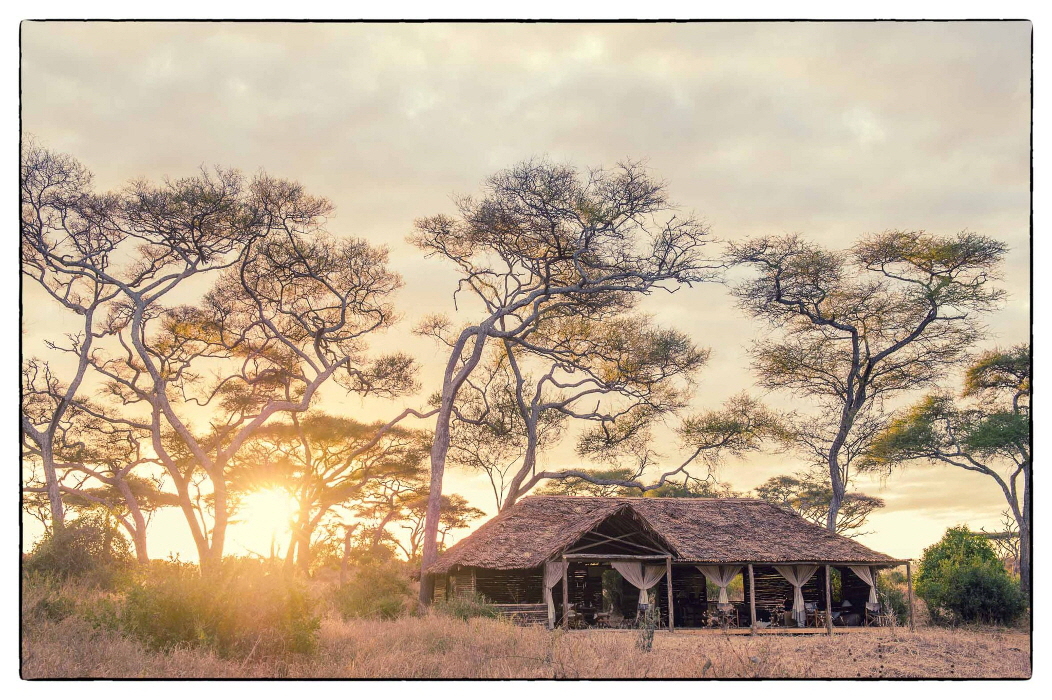 Kuro Camp Tarangire Tansania