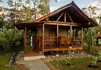 laanitarainfporest_0002 laanitarainfporest_0002