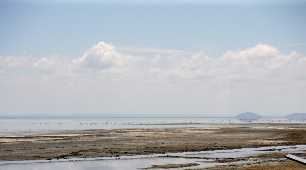 Lake Manyara Tansania