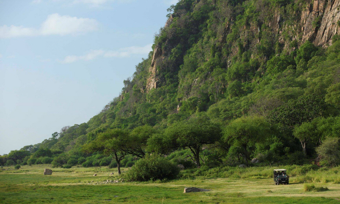 Lake Manyara Pirschfahrt