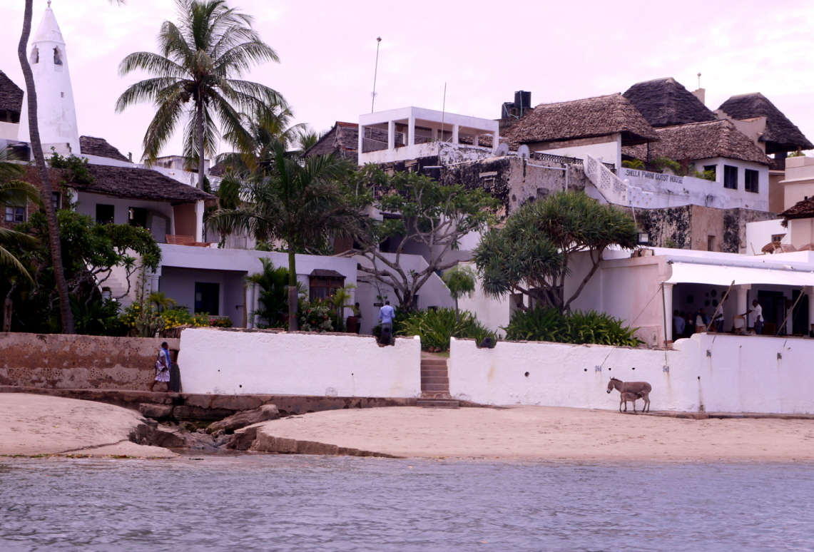 Insel Lamu  Peponi 