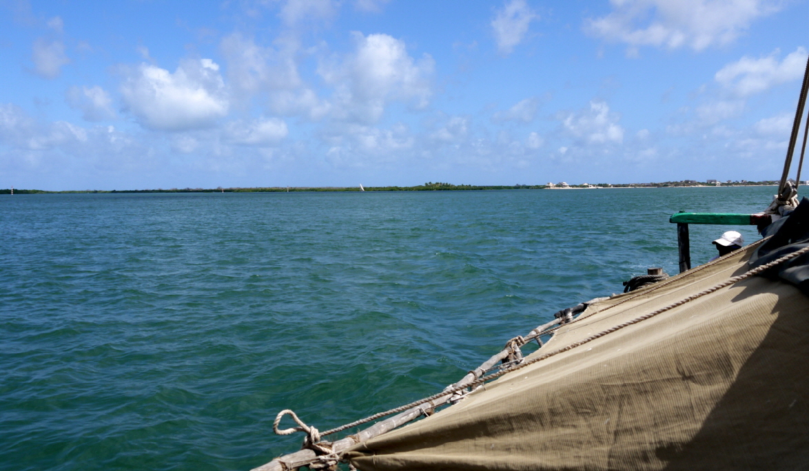 Dhow Ausflug