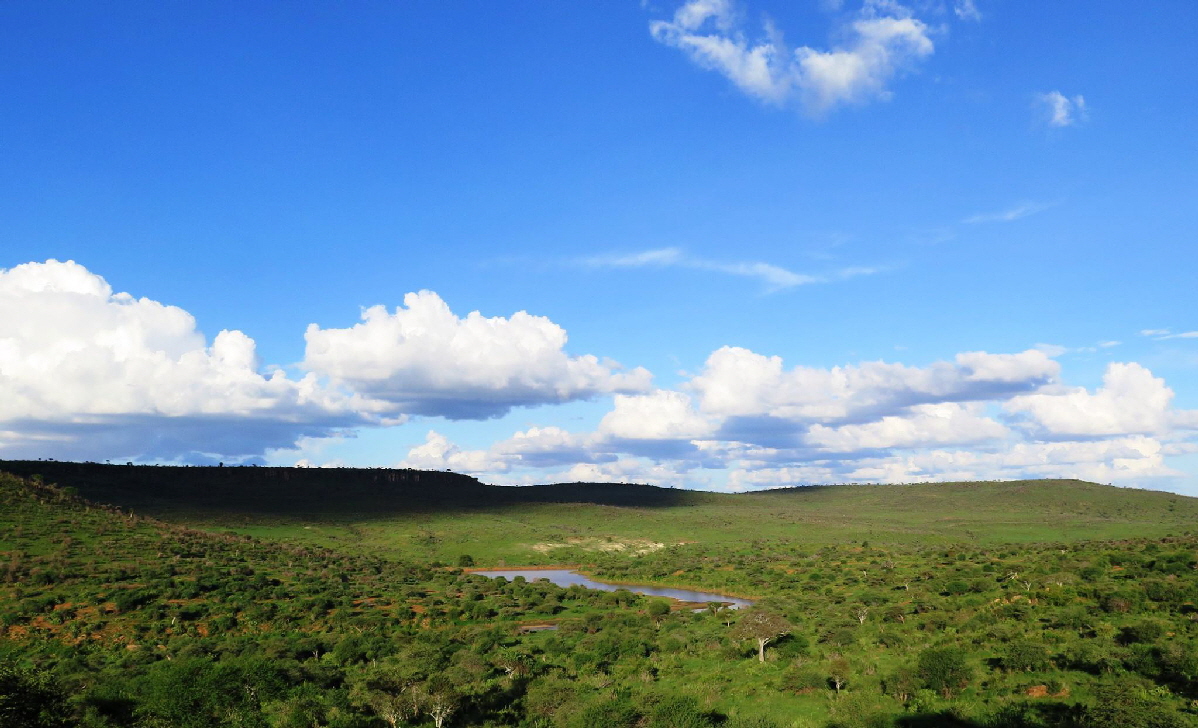 Loisaba  Starbed Blick aufs Wasserloch